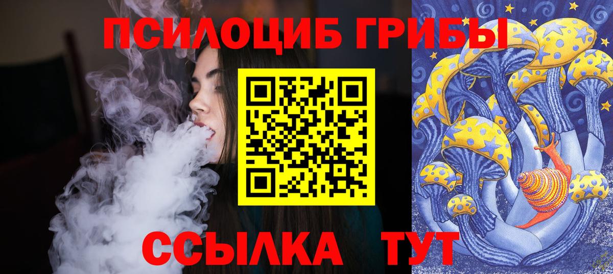 Псилоцибиновые грибы Cubensis Георгиевск
