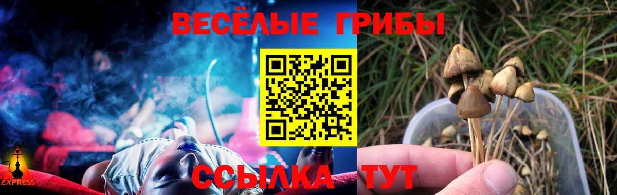 купить наркоту  Галлюциногенные грибы Cubensis  Вход с VPN  Георгиевск 